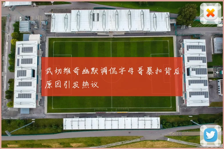 武切维奇幽默调侃字母哥暴扣背后原因引发热议