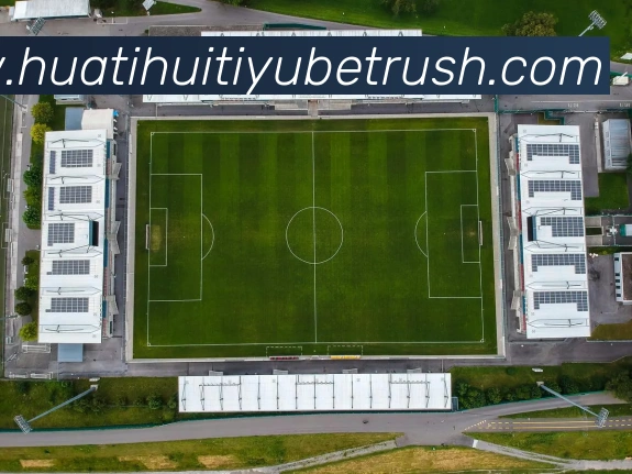 华体会体育APP 封面图